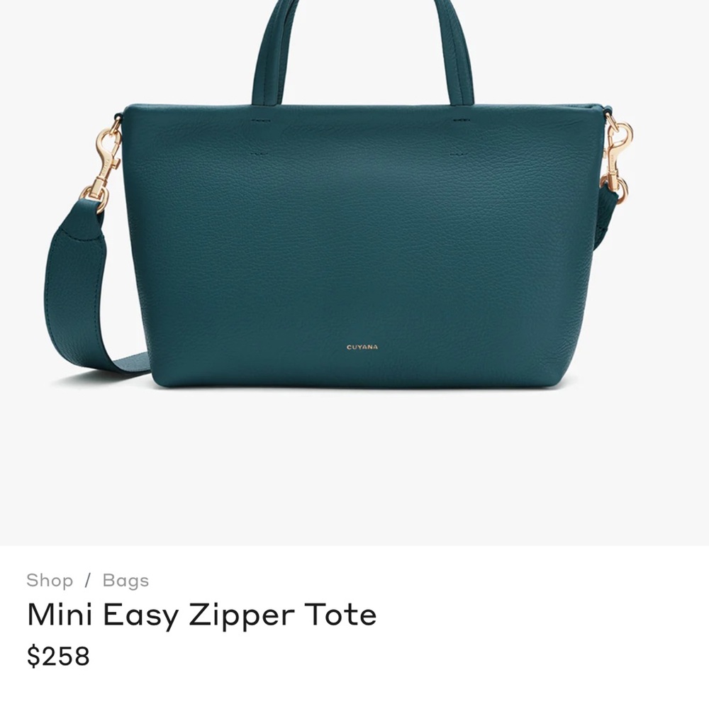 Cuyana Blue Tote with Minimalist Design and Versatile Straps